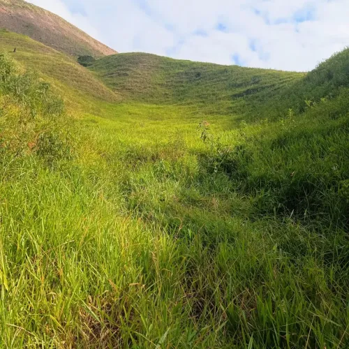 Valença - Sítio com 58 hectares ! Oportunidade!
