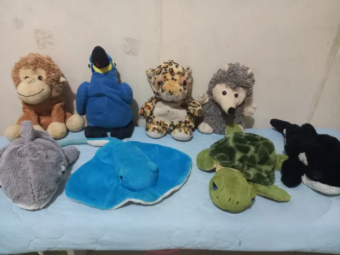 Coleção pelúcia safari