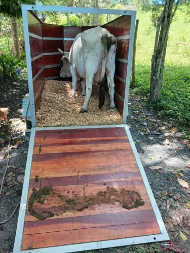 Reboque de cargas fazendinha chácara 