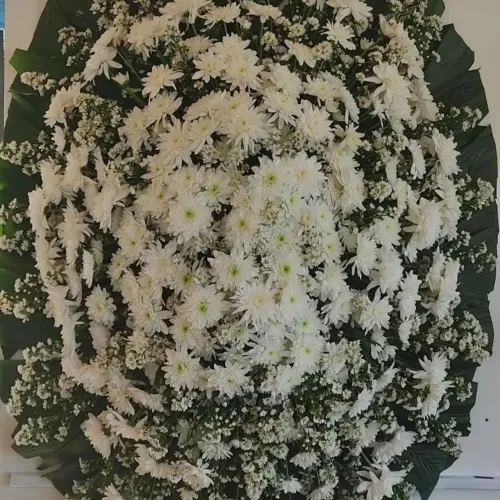 Coroa de Flores (Aparti de 199,90)
