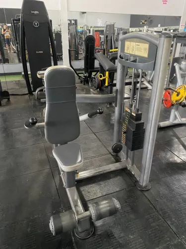 Maquina triceps wellness