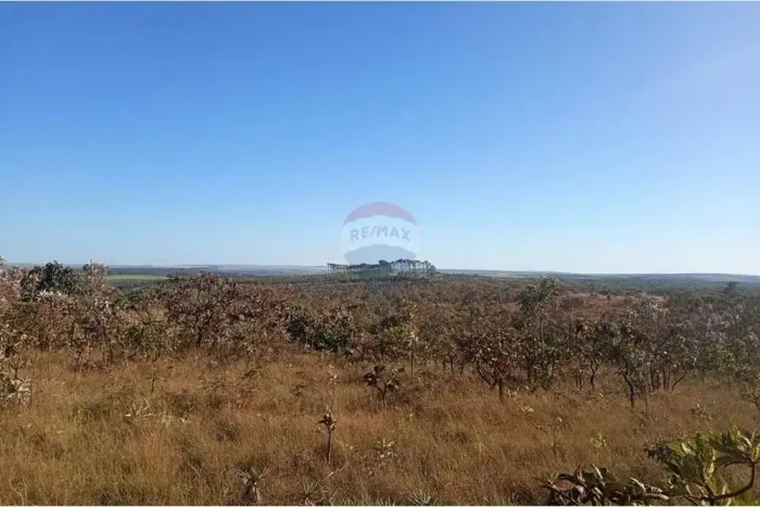 Fazenda de 195 hectares, com Eucaliptos.