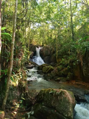 Sítio para Venda em Palhoça, São Sebastião, 2 dormitórios, 3 banheiros
