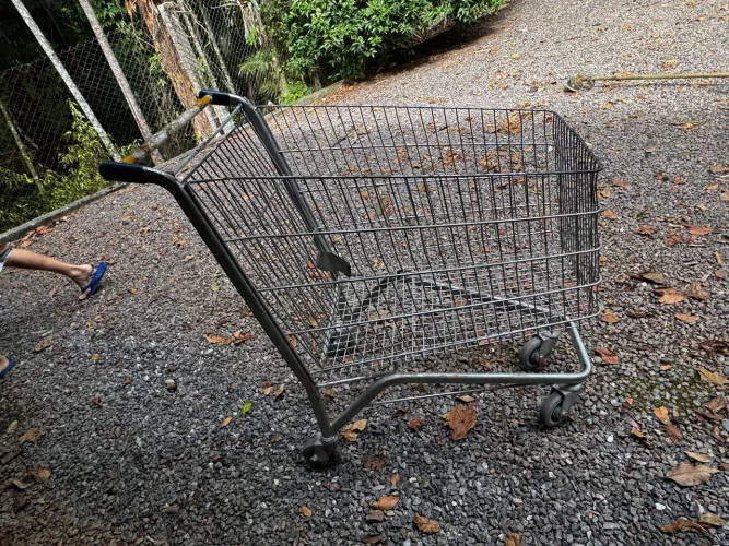 Carrinho de supermercado