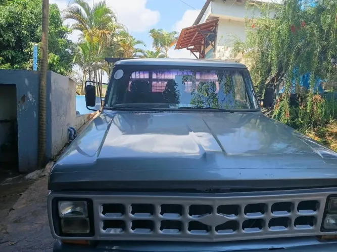 Ford F-1000 S. S. Diesel / S.s. Diesel Turbo 1987