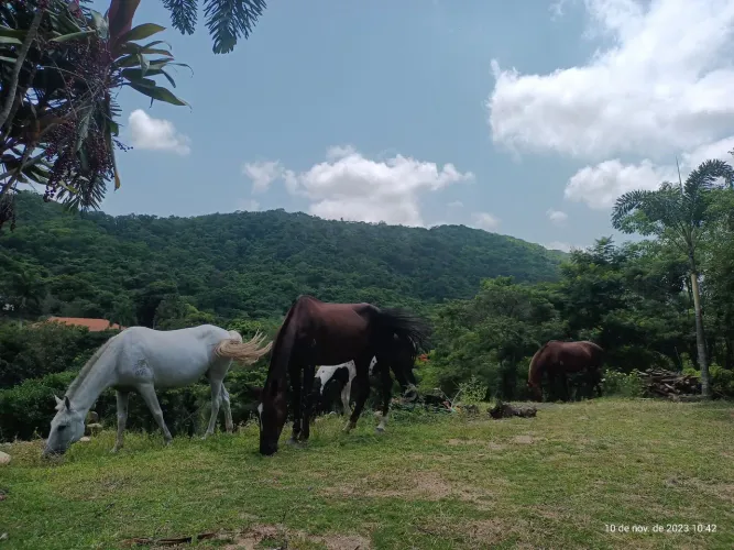 Chácara Cantagalo Campo Grande