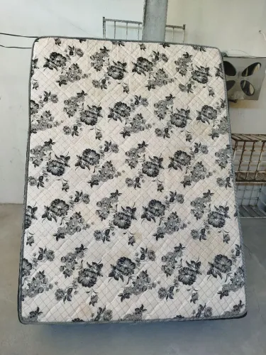 Cama