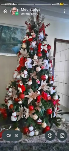 Árvore de Natal montada apenas um vez
