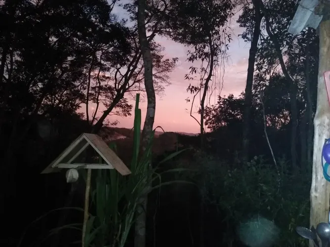 Chacara em rosas novas