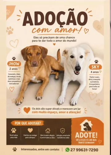 Cachorro para adoção responsável.