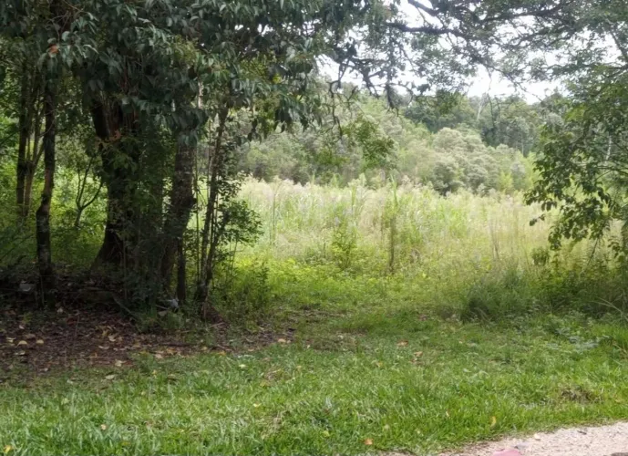Bonita Área para Chácara em Bocaiúva