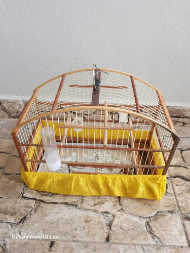 Gaiola de madeira 
