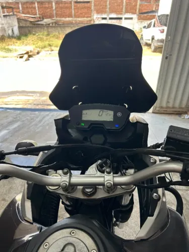 Yamaha XTZ 250 Tenere/tenere Blueflex 2019