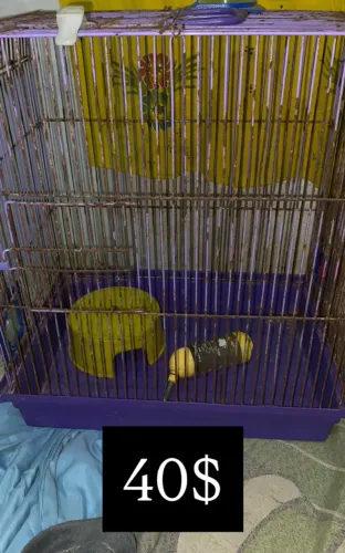 Gaiolas para hamster 