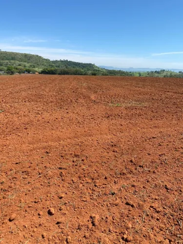3 ALQUEIRES DE TERRA VERMELHA À VENDA - CARLÓPOLIS/PR | ÁREA PRODUTIVA