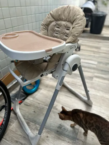 Cadeira Alimentação Burigotto Prima Pappa