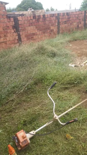 Limpeza de terreno