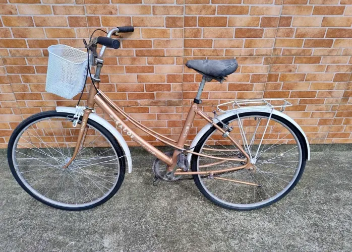 Bicicleta Ceci aro 26
