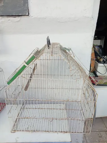 Gaiola para calopsitas