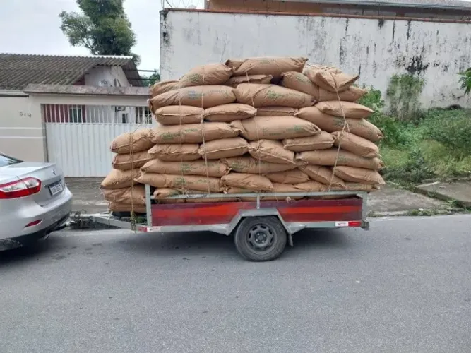 Reboque fazendinha jardineira carga bruta frete carretinha