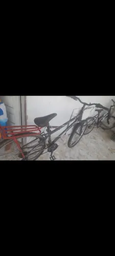 Bicicleta adulto