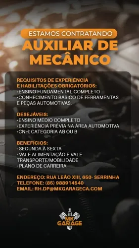 AUXILIAR DE MECANICO