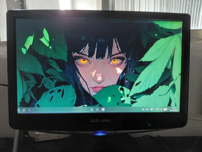 Monitor sansung 20 polegadas