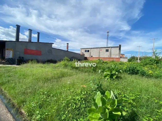 Terreno para alugar, 600 m² por R$ 5.000,00/mês - Santo Antônio - Teresina/PI