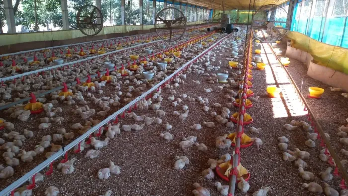 Fazenda/Sítio/Chácara para venda com 480000 metros quadrados em Zona Rural - Casa Branca -