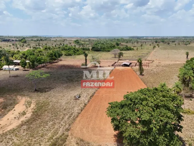 Fazenda 130 Alqueires (629 Hectares) Conceição do Araguaia - PA