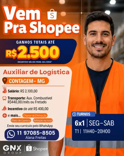 Auxiliar de Logística - GNX GROUP