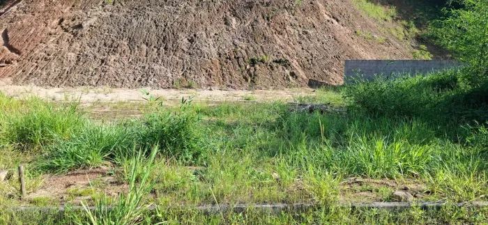 Vendo terreno em xerem