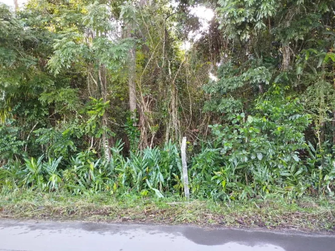 Terreno, 3.273 m², à venda por R$ 190.000 - Barreiros - Morretes/PR