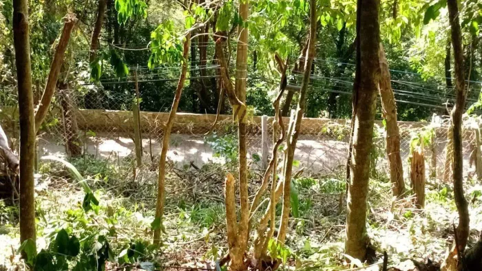 Terreno 810 metros em codominio à venda em Cotia