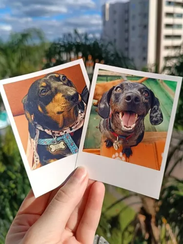 Fotos polaroid 30 polaroides por 25,00