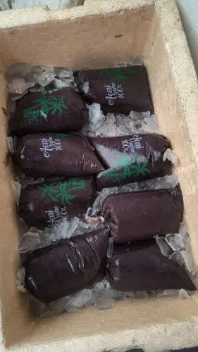 AÇAÍ NOVINHO DE CODAJAS