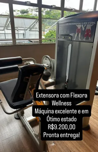 EXTENSORA COM FLEXORA WELLNES