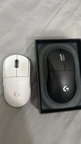 Mouse 