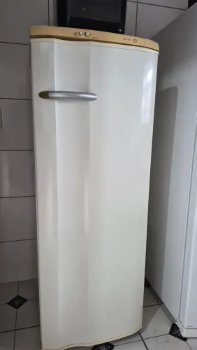Vendo Geladeira Electrolux RDE30