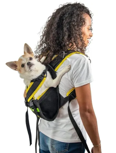 Yellow Pet PP