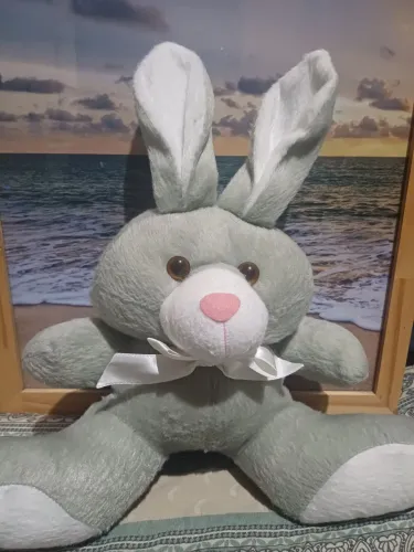 Pelúcia de Coelho
