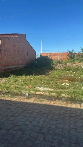 TERRENO EM CASA NOVA-BA