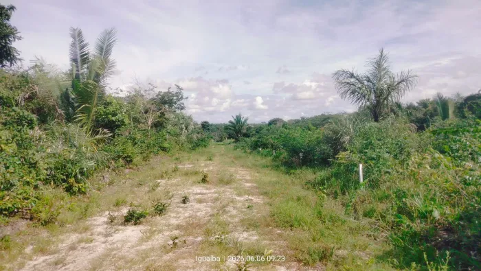 Passo lote em loteamento fechado no paço do lumiar, av principal