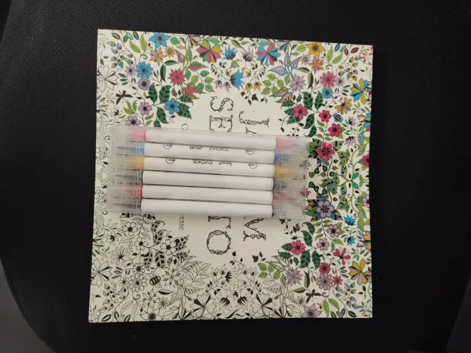 Livro para colorir com canetinhas