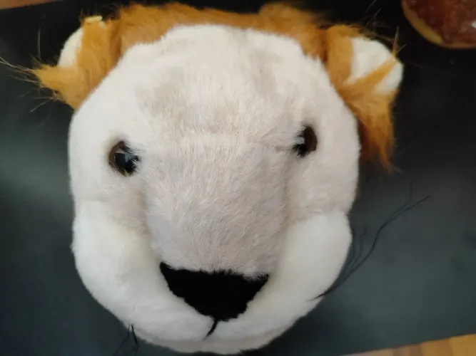Pantufa leão.