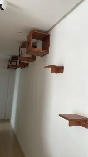 playground para gatos