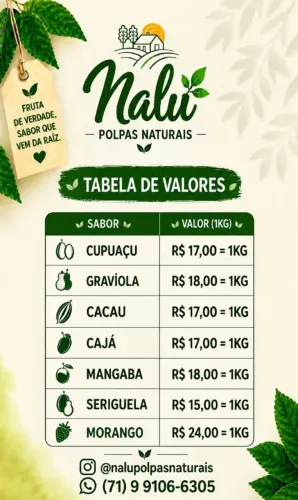Nalu Polpas Naturais 