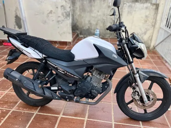 FACTOR 150 ED - 2021