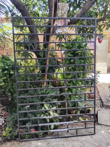 Grade para porta  e porta 