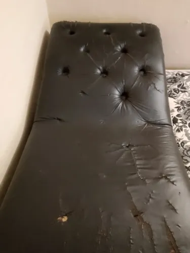 protona divan
